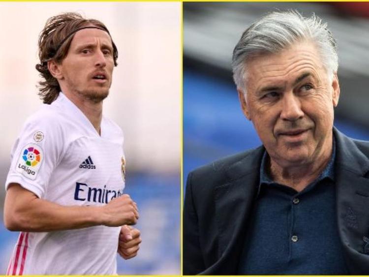 这种谦逊的 这种谦逊的