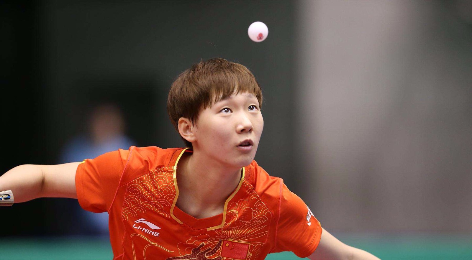 斯维亚特克 斯维亚特克